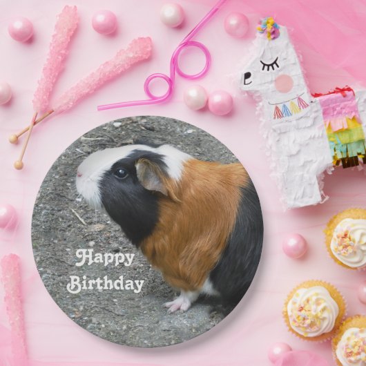 ギニアピグフォト誕生日 ペーパープレート (パーティー)
