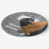 ギニアピグフォト誕生日 ペーパープレート (アングル)