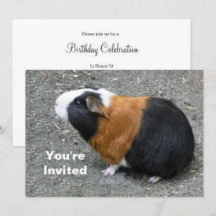 ギニアピグフォト誕生日 招待状