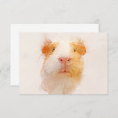 ギニアピグポートレート001 サンキューカード (正面/裏面)