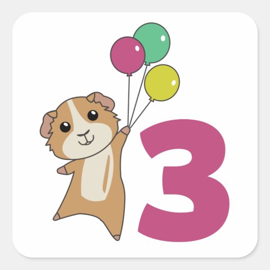 ギニアピグ第3誕生日バルーン正方形ステッカー スクエアシール (正面)