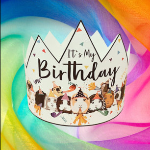 ギニアピグ誕生日クラウン