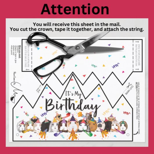 ギニアピグ誕生日クラウン