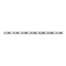 ギニアピッグサテンリボン