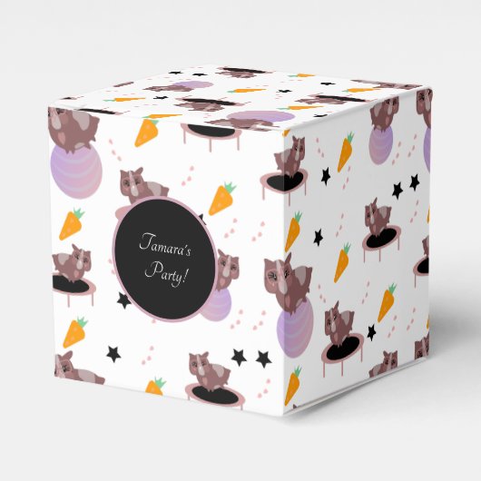 ギニアピッグフィットネスジム フェイバーボックス (正面サイド)