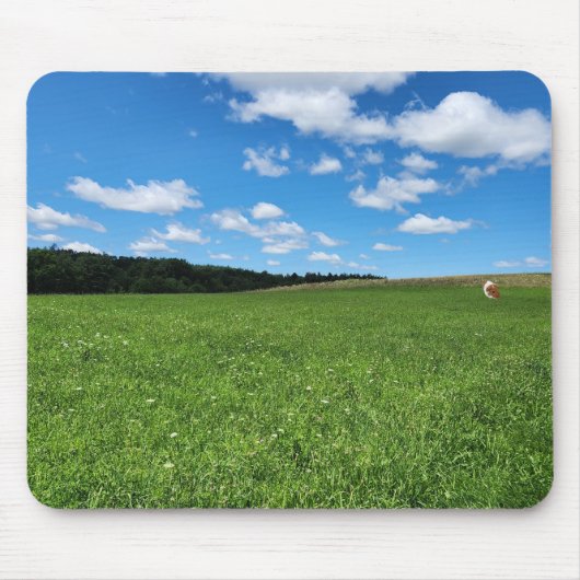 ギニアピッグinアフィールドマウスパッド マウスパッド (正面)