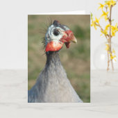 ギニアフウル カード (黄色い花)