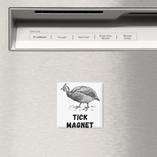 ギニアヘンフォールファームアニマルカントリー家禽類 マグネット (インサイチュ (食洗機))