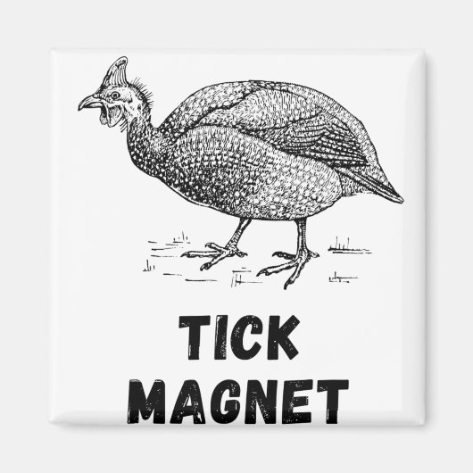 ギニアヘンフォールファームアニマルカントリー家禽類 マグネット (正面)