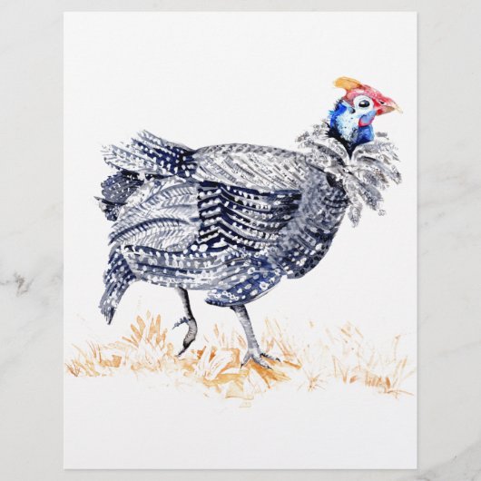 ギニアヘン チラシ (正面)