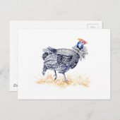 ギニアヘン ポストカード (正面/裏面)