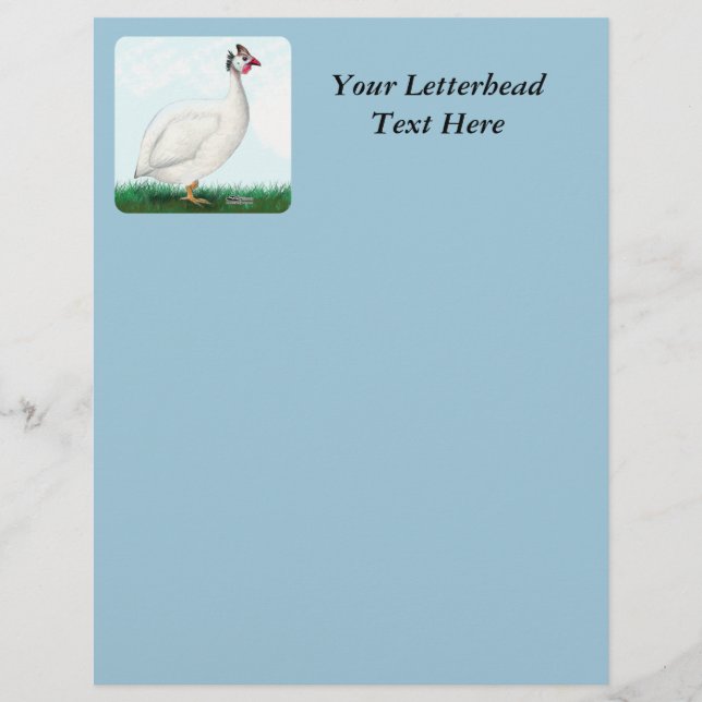 ギニアホワイト (正面)