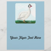 ギニアホワイト チラシ (正面)