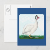 ギニアホワイト ポストカード (正面/裏面)