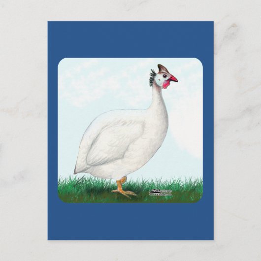 ギニアホワイト ポストカード (正面)