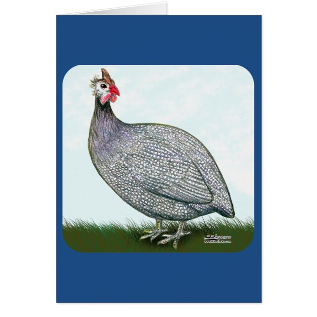 ギニアラベンダーオンウォッチ (正面)