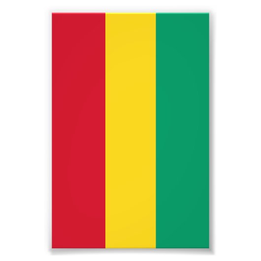 ギニア国旗 フォトプリント            (正面)