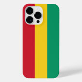 ギニア国旗 iPhoneケース (裏面)