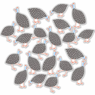 ギニア河畔 シール