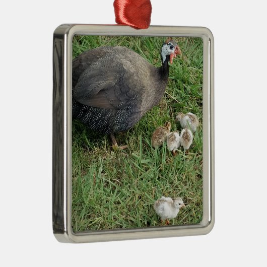 ギニア王室のファミリー – キューツ付き紫ギニア メタルオーナメント (右)