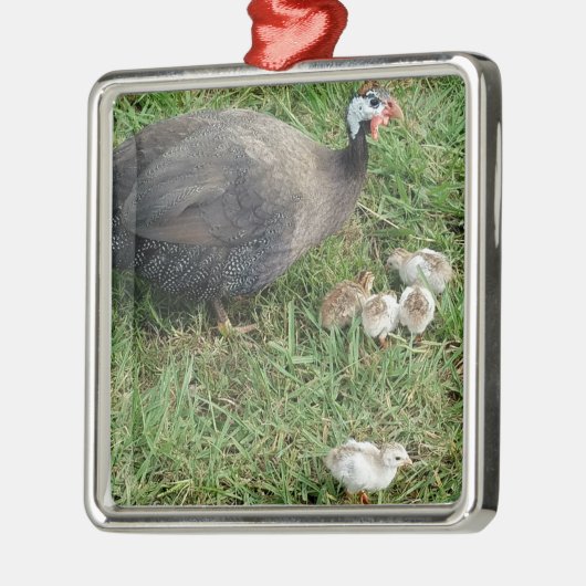 ギニア王室のファミリー – キューツ付き紫ギニア メタルオーナメント (左)