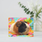 ギニア素晴らし豚はがき ポストカード (スタンド正面)