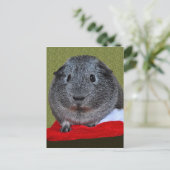 ギニア豚のクリスマス シーズンポストカード (スタンド正面)