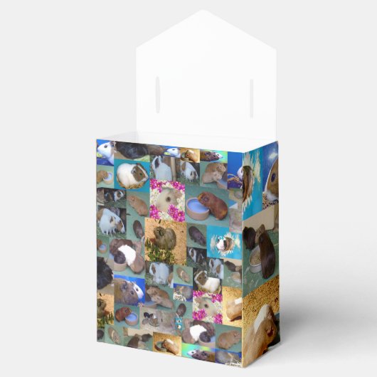 ギニア豚の写真コラージュ、パーティーの好意ボックス フェイバーボックス (オープン)