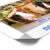 ギニア豚の知人 ポスター (角)