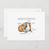 ギニア豚の解剖学 ポストカード (正面/裏面)