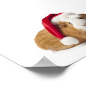 ギニア豚アート ポスター (角)