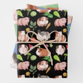 ギニア豚ラッピング紙フラットシートセット3 ラッピングペーパーシート (インサイチュ)