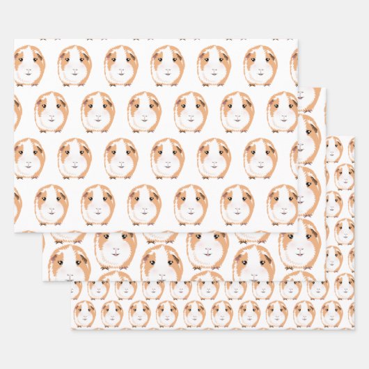 ギニア豚ラッピング紙フラットシートセット3 ラッピングペーパーシート (セット)