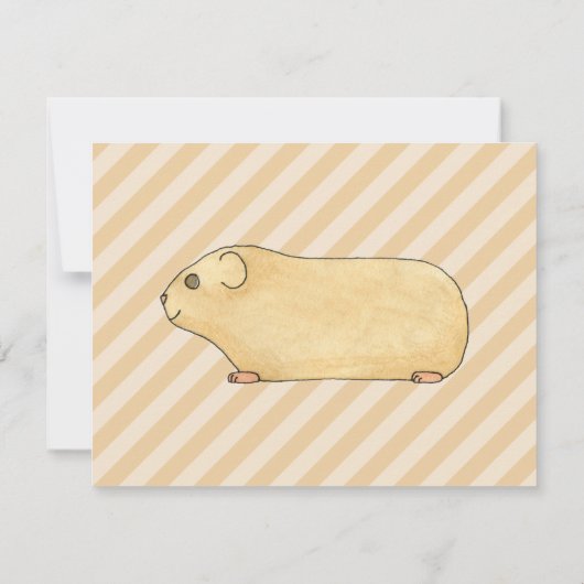 ギニア豚。 招待状 (裏面)