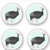 ギニア鳥イラストレーション シール (正面)