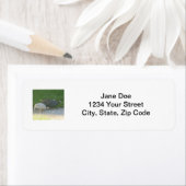 ギニア鳥ラベル ラベル (インサイチュ)