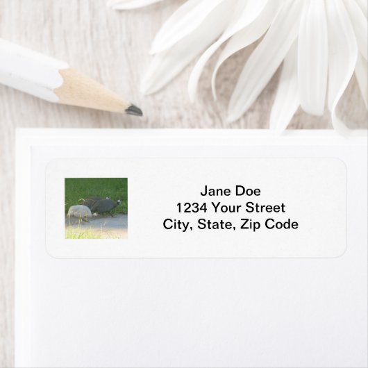 ギニア鳥ラベル ラベル (インサイチュ)