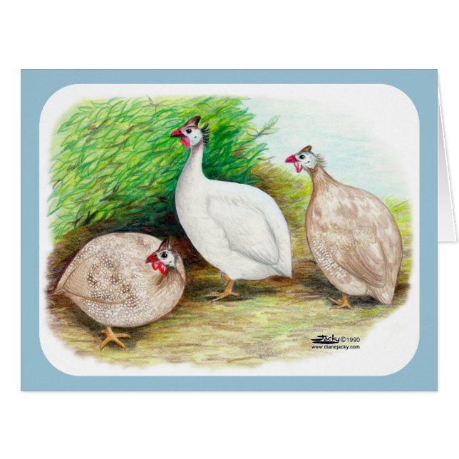 ギニア鳥 (正面横)