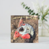 ギニア鳥 (スタンド正面)