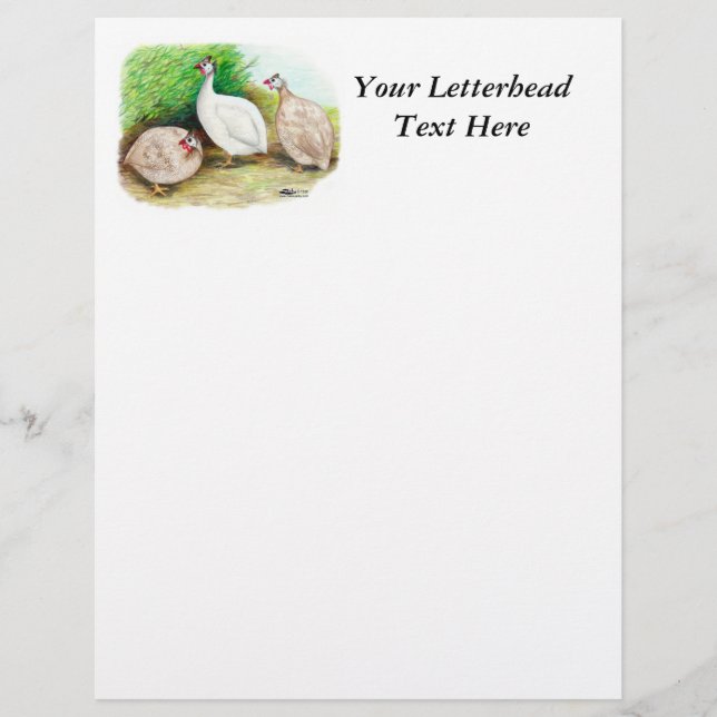 ギニア鳥 (正面)