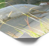 ギニア鳥 ポスター (角)