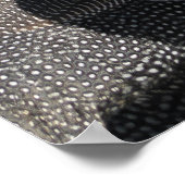 ギニア鳥 ポスター (角)