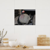 ギニア鳥 ポスター (キッチン)