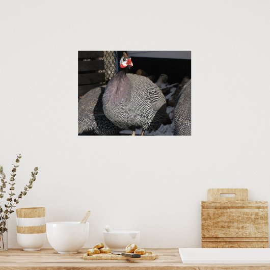 ギニア鳥 ポスター (キッチン)