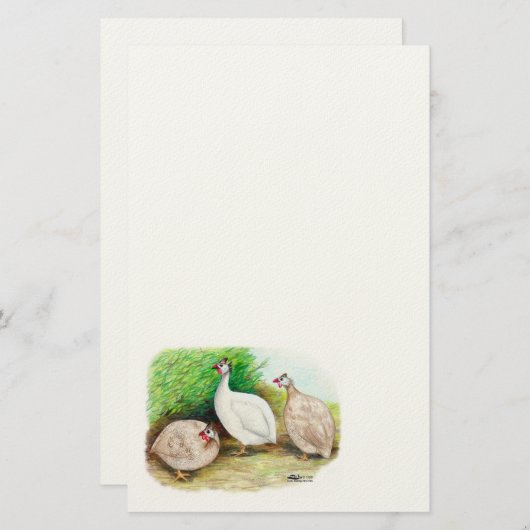 ギニア鳥 便箋 (正面/裏面)