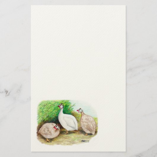 ギニア鳥 便箋 (正面)