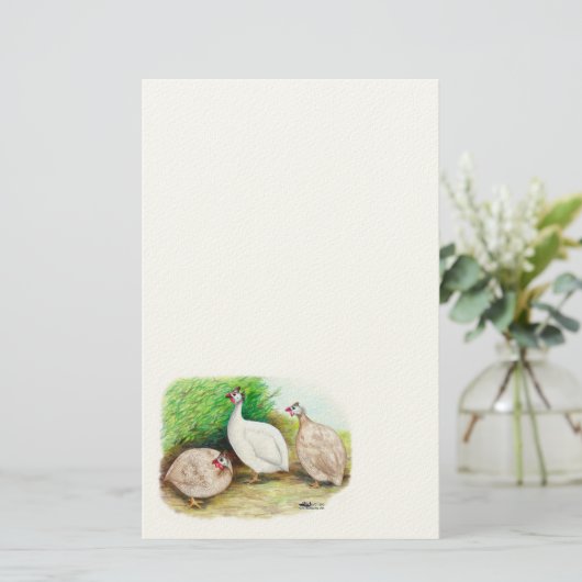 ギニア鳥 便箋 (スタンド正面)