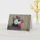 ギニア カード (黄色い花)