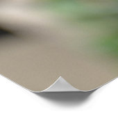 ギニア・トゥラコのポスター ポスター (角)