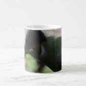 ギニア・トゥラコ・コーヒー・マグ マグカップ (中央)